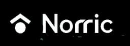 Noric logo
